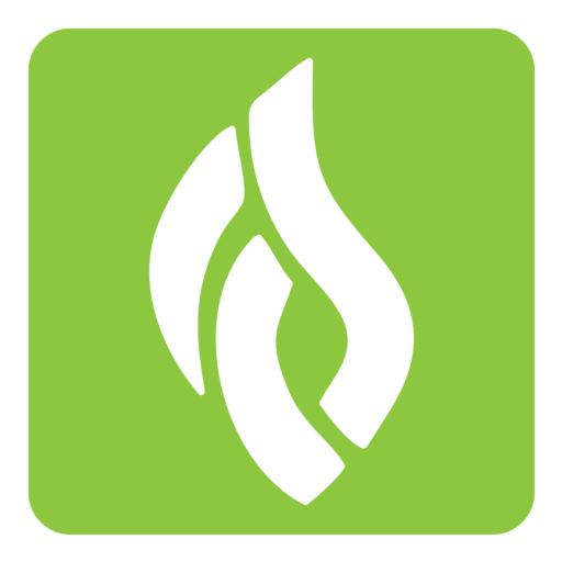 FinSpark Capital Solutions